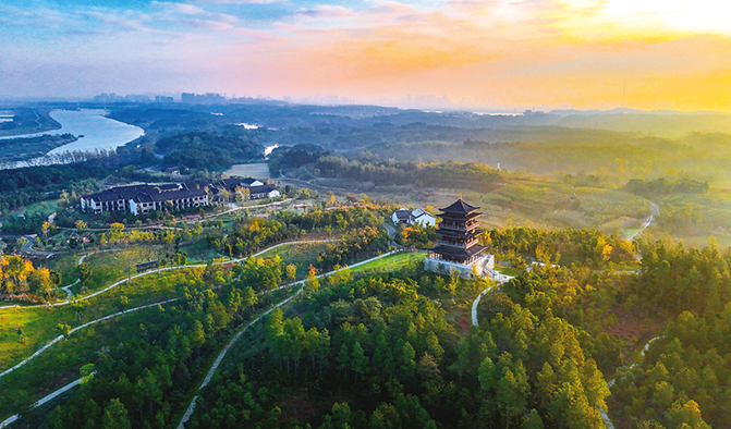 秋阳染林尽斑斓