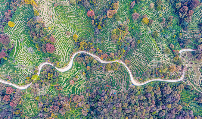 黄石溪：层林尽染美如画