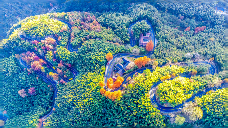 车在景中行 人在画中游