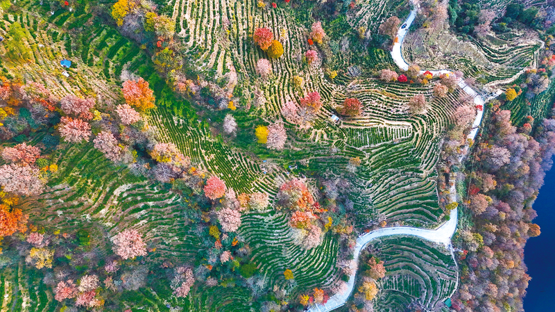 五彩山乡惹人醉