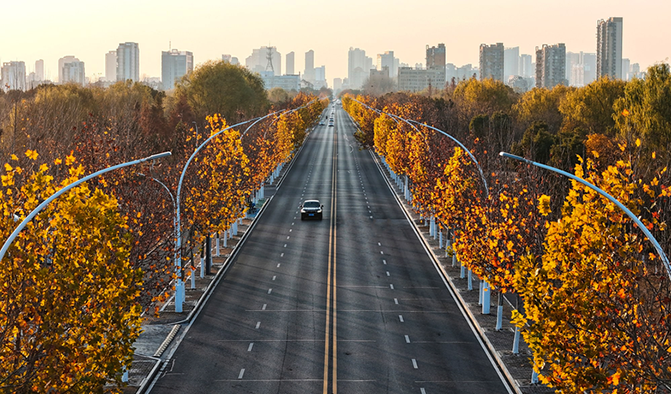 梧桐大道鎏金上线